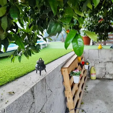 Casa Nunes Pinhão